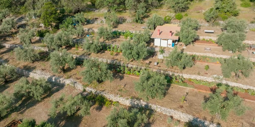 Una cena alla Micro Farm di Lefkada, con vista sulla terrazzatura in altura dove la coltivazione degli ulivi si alterna a filari di pomodori e altre verdure, creando un'armonia produttiva.