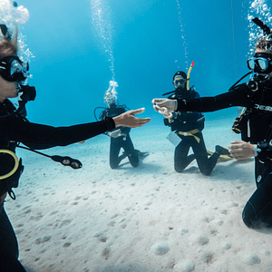 Allievi alle prime immersioni al Lefkas Diving Center, apprendendo i primi passi per diventare esperti subacquei in acque cristalline.