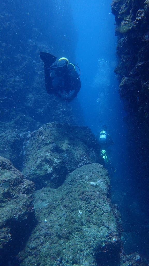 Scendere sempre più in profondità per un'esperienza subacquea senza pari. Ogni metro conquistato offre una nuova prospettiva sulla vita marina, mentre l'acqua cristallina svela un mondo affascinante e silenzioso. Un viaggio immersivo che ti permette di entrare in sintonia con l'ambiente sottomarino e vivere la bellezza del Mediterraneo in modo unico.