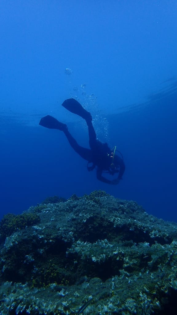 Allievo in prova durante le prime immersioni in acque profonde al Lefkas Diving Center, esplorando il mare cristallino di Lefkada.