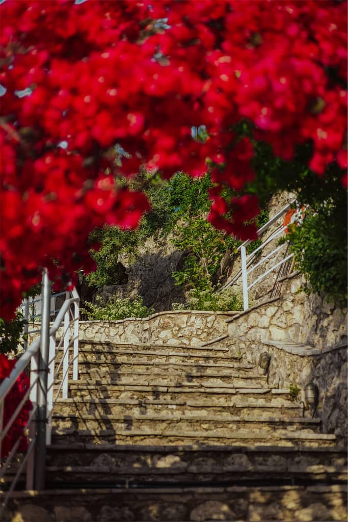 Scala del Sea Mansion che conduce verso le spiagge vicine, punto di partenza per scoprire le meraviglie costiere di Nikiana.